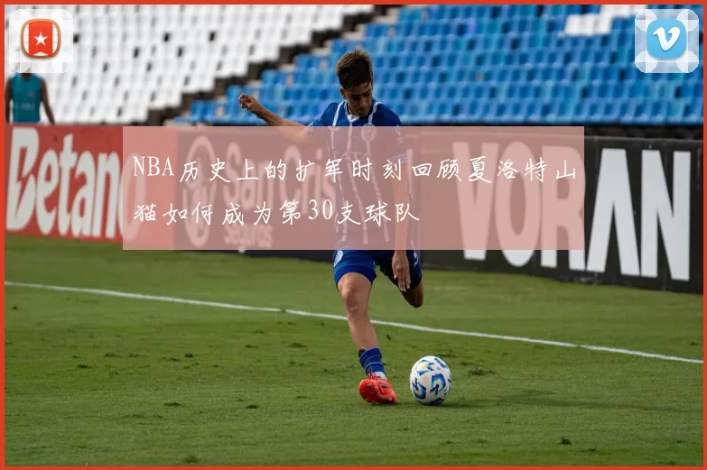 NBA历史上的扩军时刻回顾夏洛特山猫如何成为第30支球队