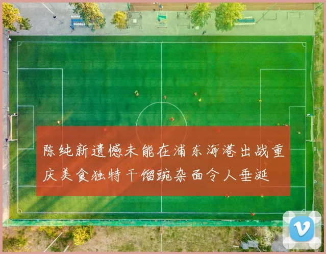 陈纯新遗憾未能在浦东海港出战重庆美食独特干馏豌杂面令人垂涎