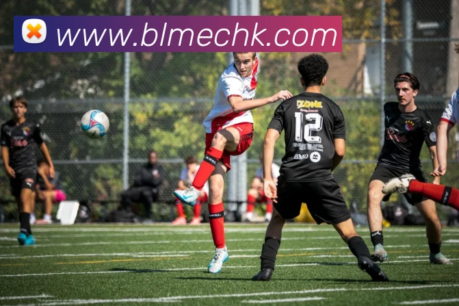 九游体育下载官网发展历程